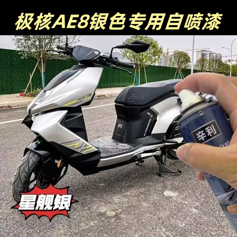 辛利极核AE8电动车银色喷漆车漆