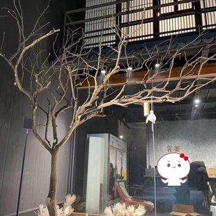 仿真枯树大型造型树装饰干枝真树干假树枯枝酒店客厅室内装饰