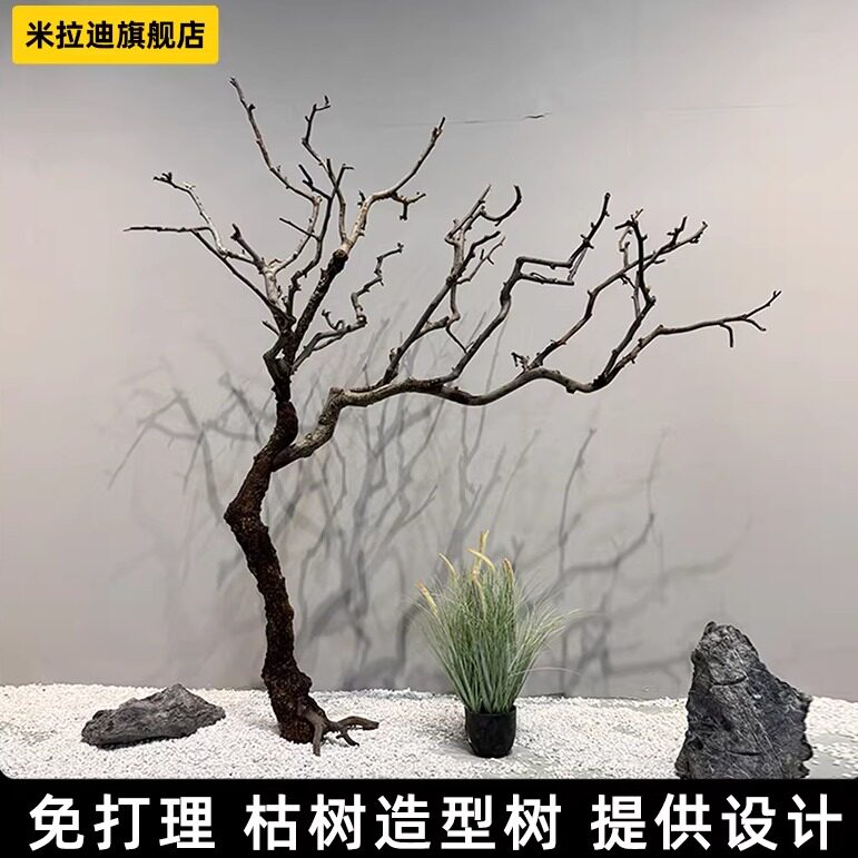 高级感枯树造景服装店侘寂风装饰