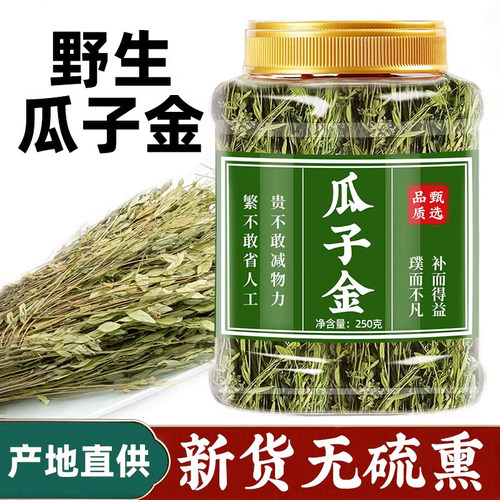 瓜子金干品新货无硫熏