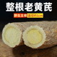 黄芪整根中药材正品 气三宝茶非野生黄氏整条 官方旗舰店北芪泡水元