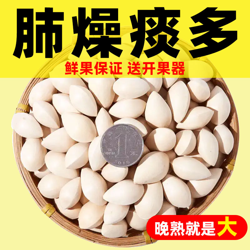 白果新鲜大果中药材干货银杏树2024新银杏果的功效和作用新鲜即食