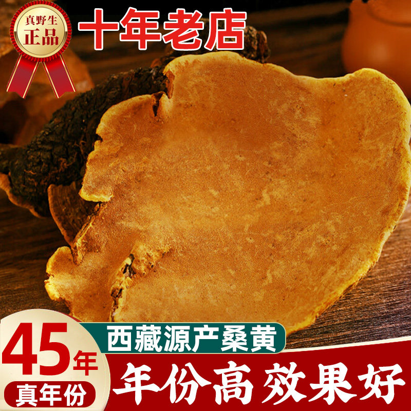 桑黄中药材西藏野生菌包正宗灵芝泡水小努桑黄粉桑树桑黄茶的功效