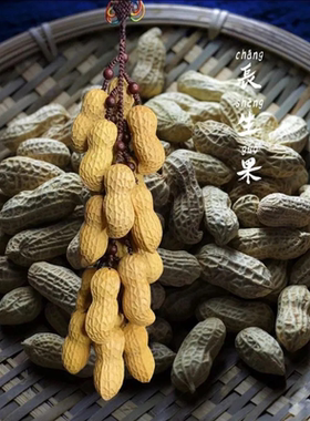 仿真果蔬花生文玩木雕黄杨木挂饰