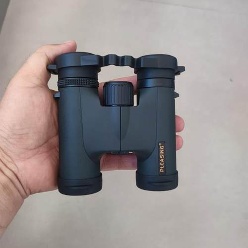 悦目望远镜pleasing演唱会