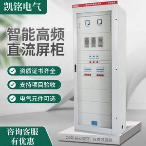 GZDW-110V220V40AH直流电源屏