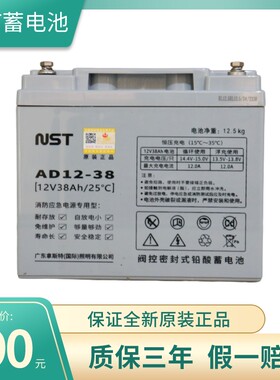 拿斯特NST原装集中电源蓄电池