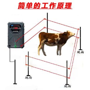 电子围栏畜牧养殖电网电围栏养牛羊马猪牧场神器脉冲主机系统全套
