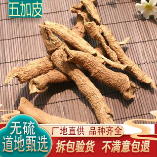 中药材 野生五加 五加皮香五加皮 新鲜干货散装新货500克包邮