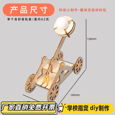Steam科技小制作DIY投石车幼儿园手工拼装科学实验模型益智教CV96