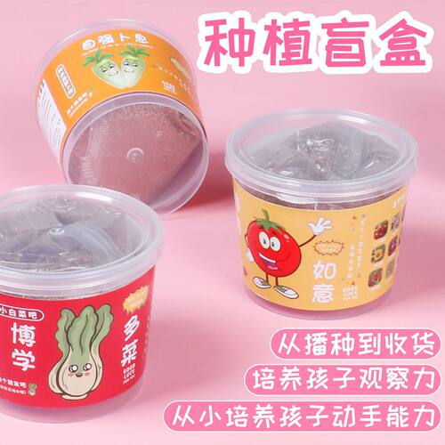 儿童种植小盆栽 神奇植物罐头室内迷你桌面网红祝福绿植蔬菜T346