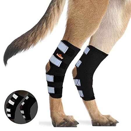 NeoAlly Pair Dog Rear Leg Brace Canine Rear Hock Joint Su