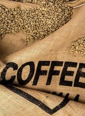 Hudson Roasters Unroasted Green Coffee Beans， Fair Trade，