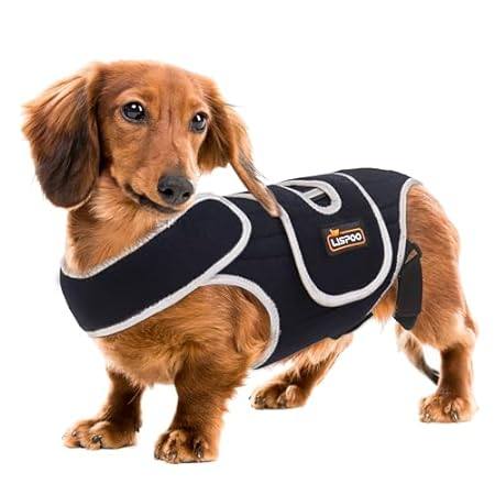 Dog Back Brace for IVDD， Herniated Disc， and Slipped Disc