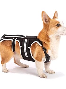 Back Brace for Dogs with IVDD， Arthritis， Luxating Patell