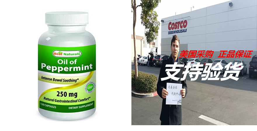 best naturals peppermint oil 250 mg 120 capsules