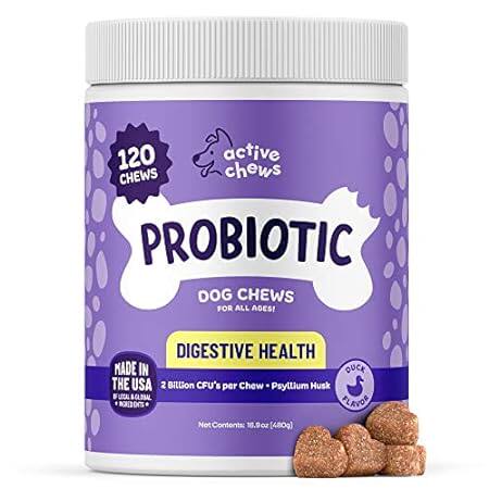 | Pet Probiotics for Dogs | Dog Probiotics and Digestive