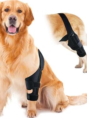 Dog Knee Brace for Hind and Rear Leg， Support for Dog ACL