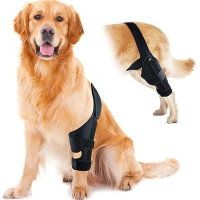 Dog Knee Brace for Hind and Rear Leg， Support for Dog ACL