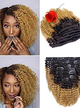 Loxxy Afro Kinky Curly Clip In Hair Extensions Remy Human