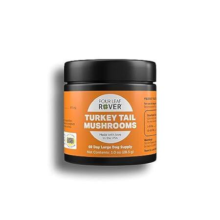 Turkey Tail Mushroom Extract - Critical Immune Support an