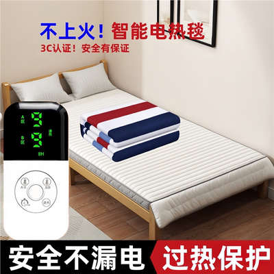 电热毯子单人宿舍小尺寸加厚电褥子双人双控调温开关智能型加热毯