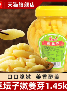 菜坛子嫩姜芽1.45kg一桶糖醋味