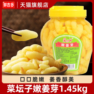 菜坛子嫩姜芽1.45kg 一桶糖醋味姜牙嫩姜泡姜开胃小菜下饭菜包邮