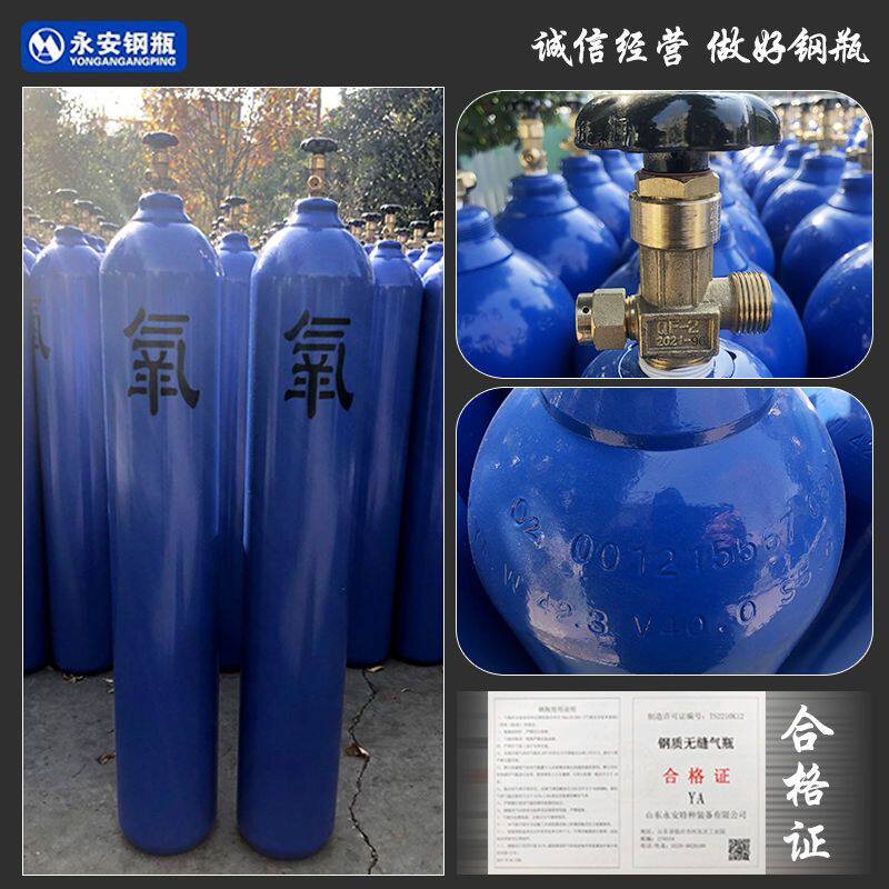 40升15L10l小型便携式氮气瓶氩气氧气瓶二氧化碳钢瓶氩弧焊二保焊