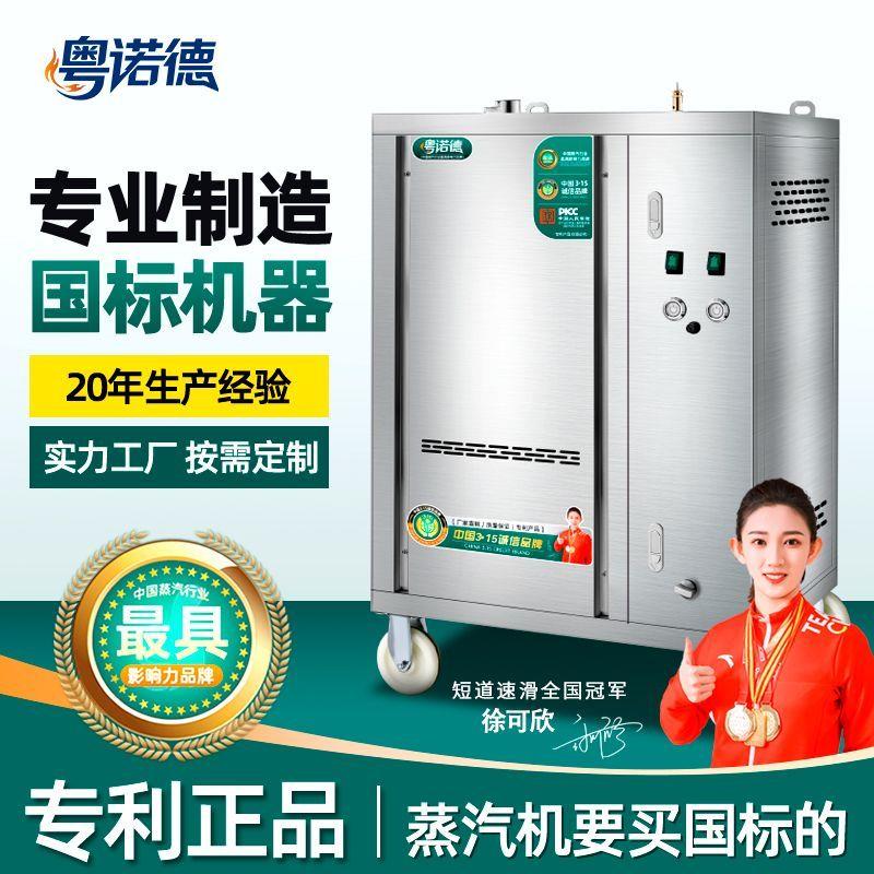 煮豆浆蒸汽发生器天然气商用蒸气机蒸汽炉燃气液化气锅炉