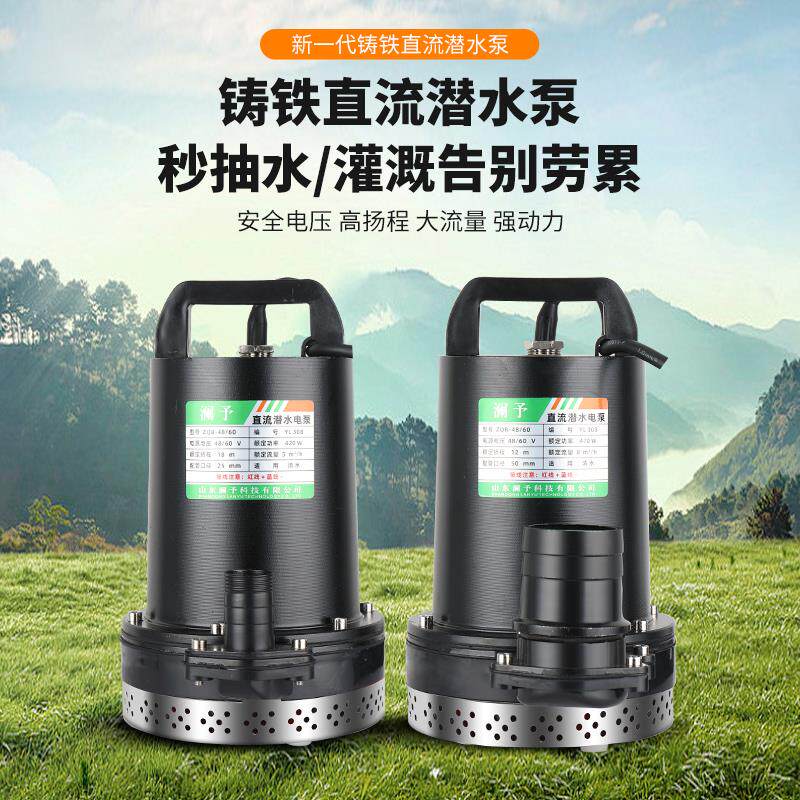 新款澜予12V24V48V60V72V直流潜水泵抽水泵家用电瓶车电动车包邮