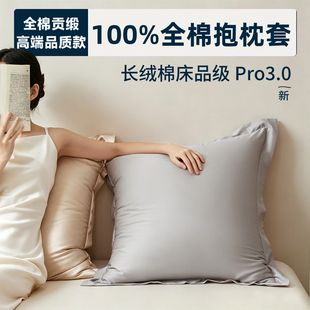 2026新款40x45x50x55纯棉沙发靠背抱枕套不含芯60x80靠枕靠垫套