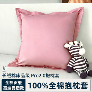 2026新款40x45x50x55纯棉沙发靠背抱枕套不含芯60x80靠枕靠垫套65