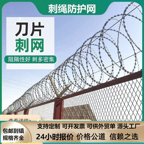 厂家直销高镀锌刀片刺绳防护网刺丝滚笼带刺铁丝网刺钉防爬网防盗