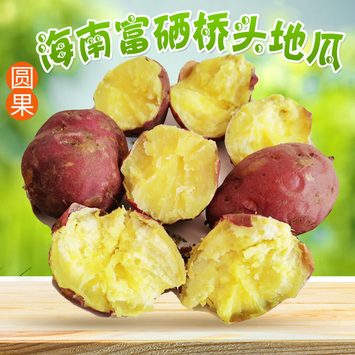 富硒沙地板栗番薯海南桥头地瓜