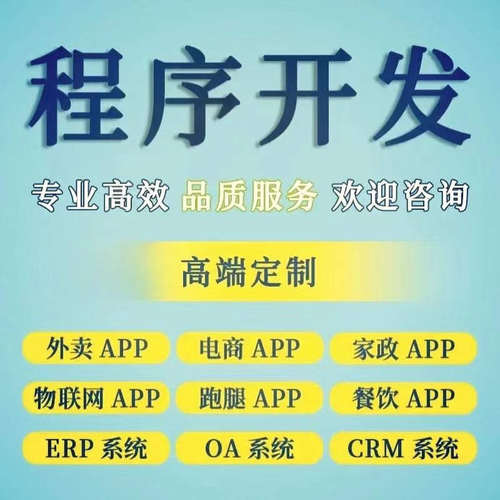 软件开发定制海外APP开发小程序物联网教育商城语音房源码公众号