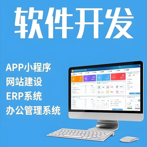 软件定制软件开发小程序开发商城app定制开发电脑管理系统物联网
