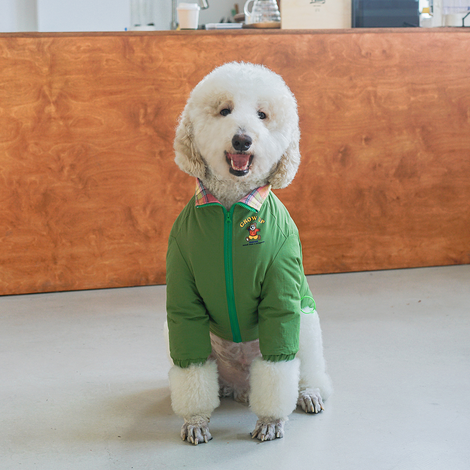 帅气大型犬冲锋衣狗狗衣服秋冬