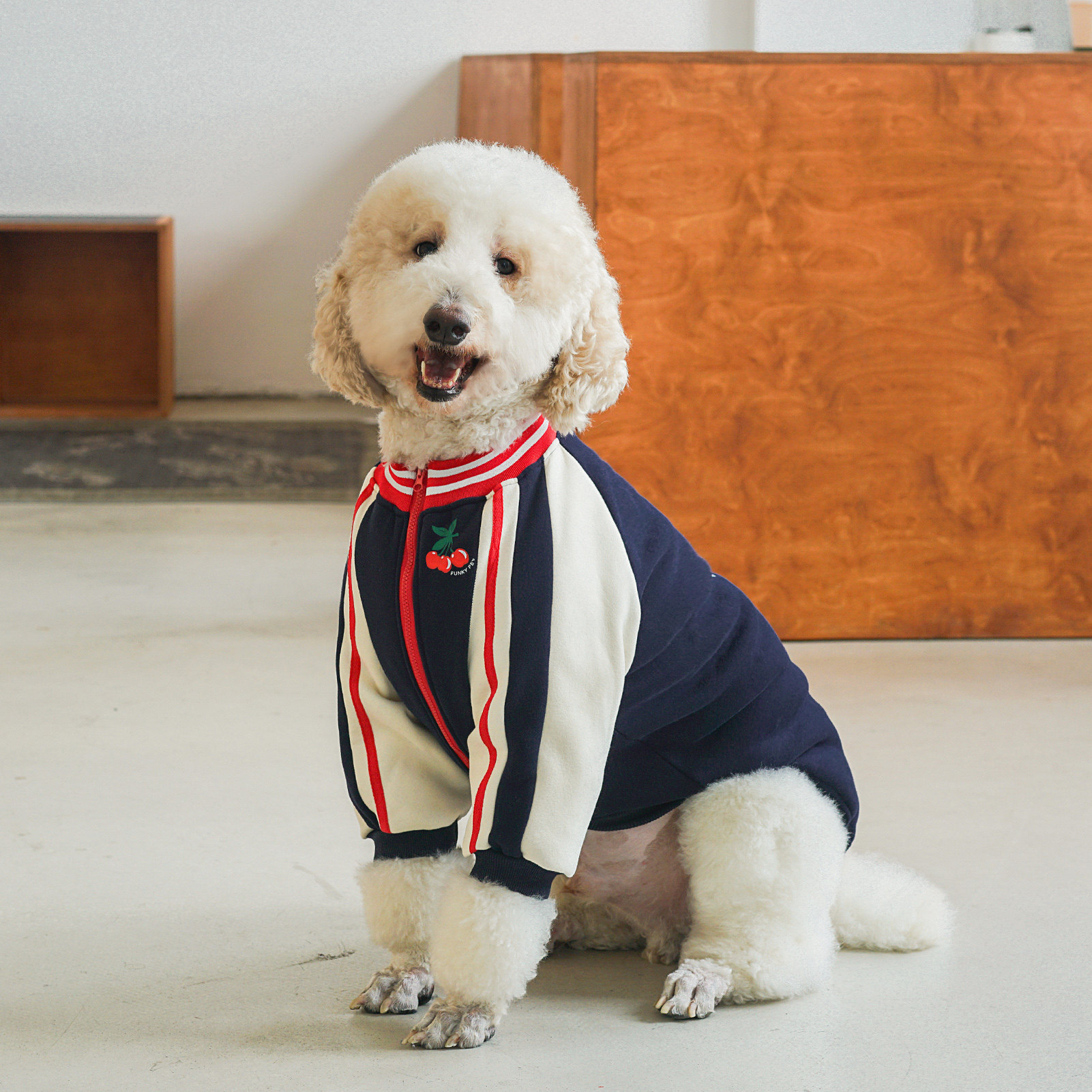 秋冬大型犬狗狗衣服加厚保暖拉布拉多金毛边牧巨贵宠物大狗衣服潮,宠物/宠物食品及用品,狗宠物服装/雨衣,淘宝优惠券,粉丝福利购,淘宝优惠卷