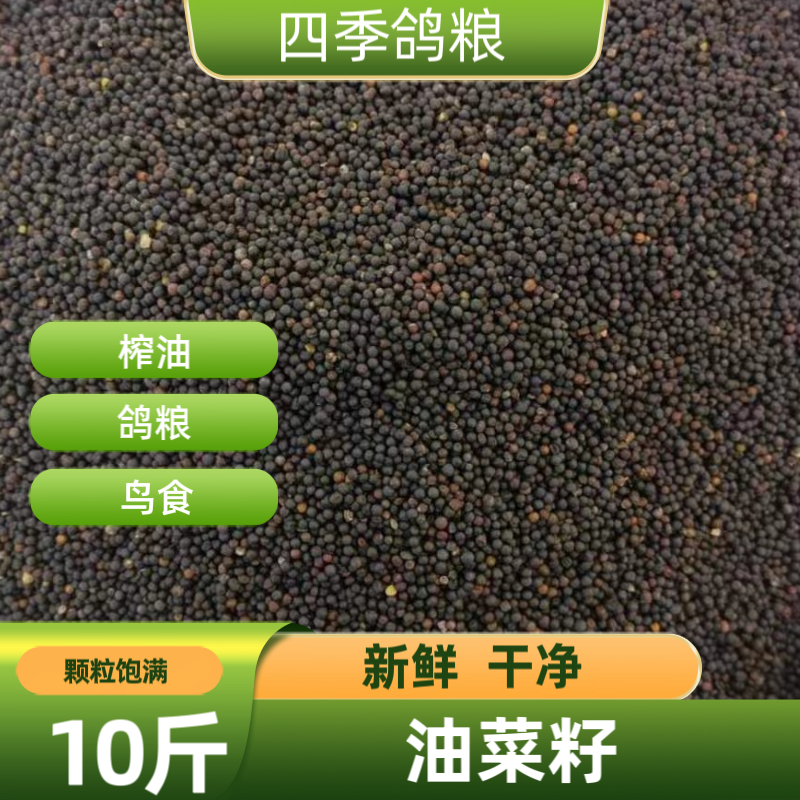 十斤装新鲜油菜籽优质鸟粮食鸽子食虎皮芙蓉鸟玉鸟饲料