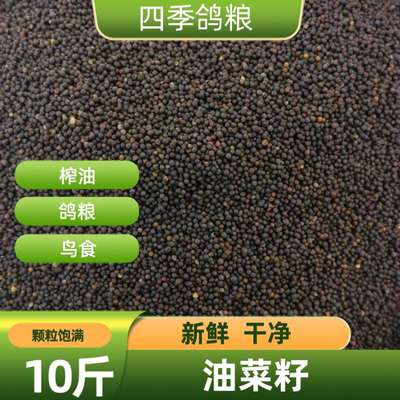 十斤装新鲜油菜籽优质鸟粮食鸽子食虎皮芙蓉鸟玉鸟饲料