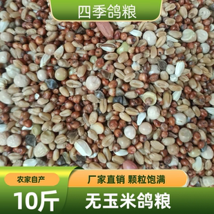 10斤装无玉米鸽粮赛飞营养饲料鸟食信鸽观赏鸽肉鸽粮鸽子食包邮
