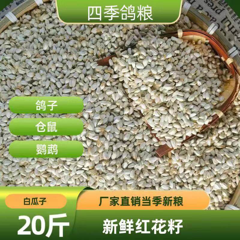 20斤新粮红花籽白瓜子
