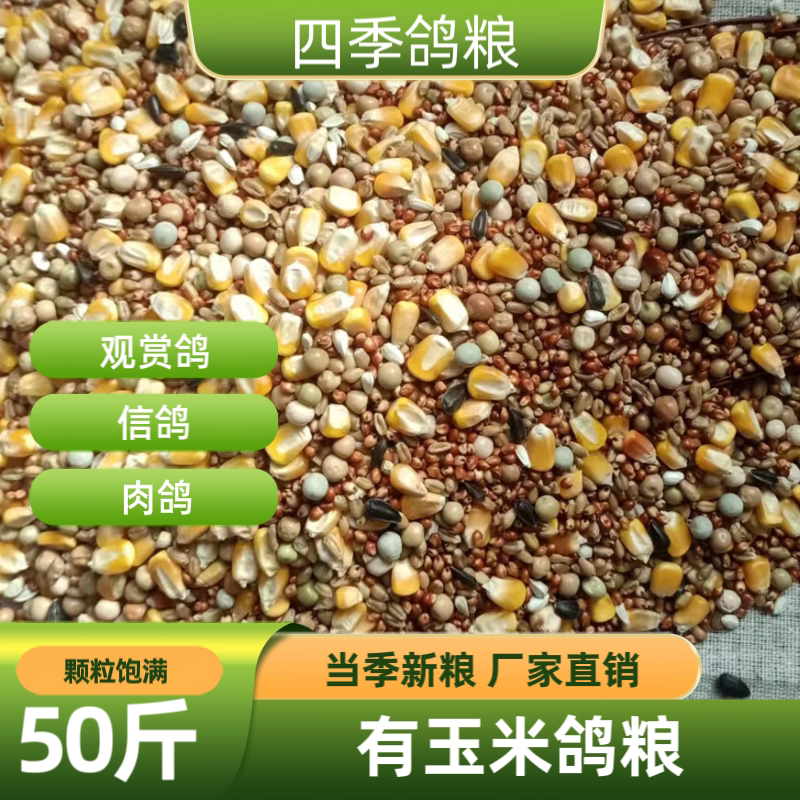 50斤新鲜有玉米鸽粮赛飞营养饲鸟食