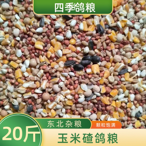 20斤新鲜玉米碴鸽粮碎玉米幼鸽赛新飞观赏鸽信鸽肉鸽粮食19省包邮