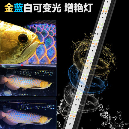led马印神灯灯金专用灯鱼缸灯防水灯双模式蓝白增艳水草灯全光谱