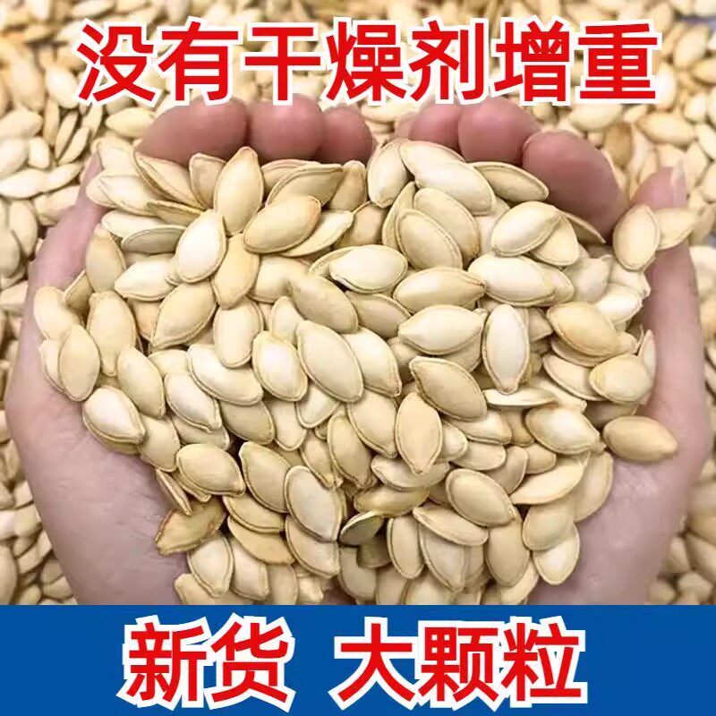 新货南瓜子原味大颗粒生熟椒盐味现炒货纸皮内蒙古特产散装批发