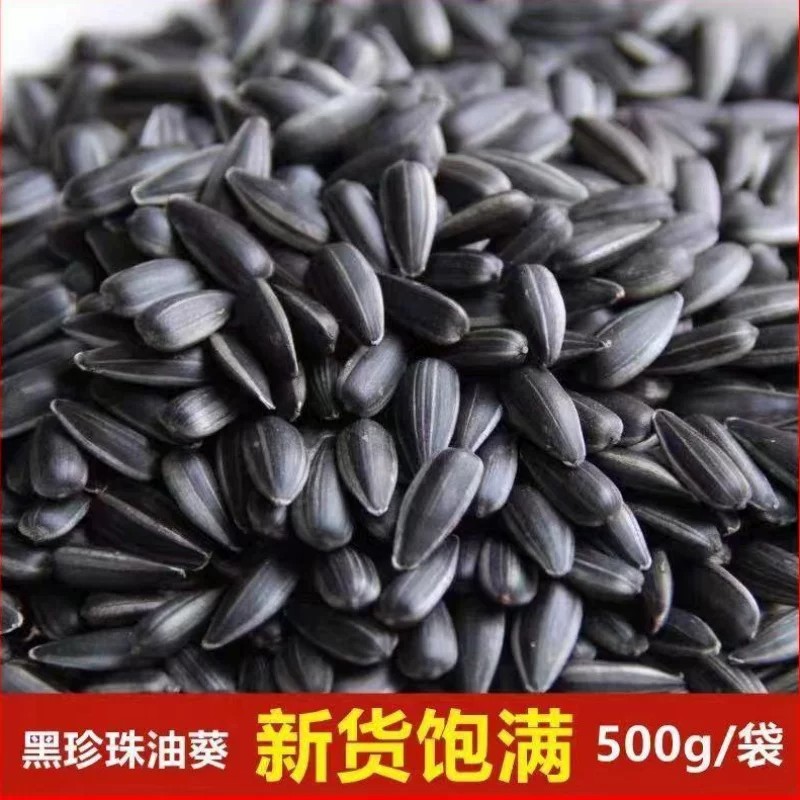 新货油葵黑珍珠原味葵花籽小油葵瓜子五香炒熟大袋装奶油零食批发