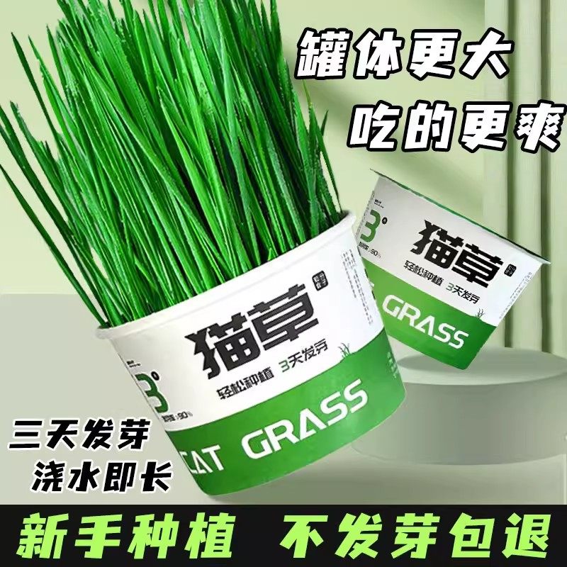 宠物猫草种子三天发芽盆栽式新手种植流水即长不发芽包退懒人猫草,宠物/宠物食品及用品,猫草/猫草片,淘宝优惠券,粉丝福利购,淘宝优惠卷