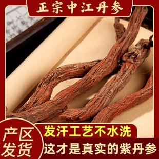 四川直发正宗中江发汗紫丹参中药材野生丹参条特级丹参段泡茶泡水